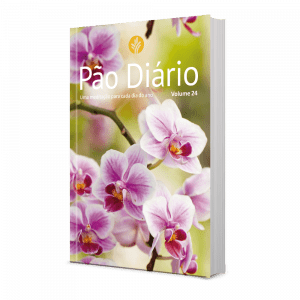 24 - PAO DIARIO - FLORES PL379